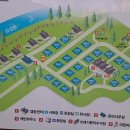 삼오이용