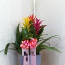 대운한방병원 이미지