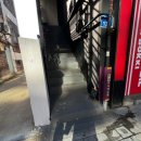 고양이 행복구역 이미지