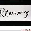 들꽃피는언덕 이미지