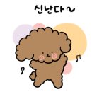 타짜우동 이미지