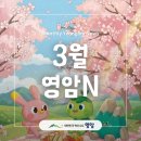 2024 예술경영지원센터 지역맞춤형 중소규모 지원사업 실험실콘서트 | [영암N] 3월에도 교육·복지·청년·농업 지원사업 등 알짜정보 가득!