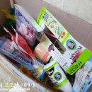 행복한 냥이네 이미지