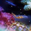 야간 고등학교 이미지