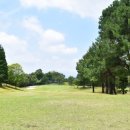 486 골프 이미지