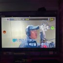 원피스노래타운