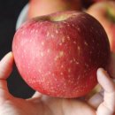 두식농원 이미지