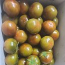 남구-038 이미지