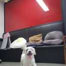 유니독스 이미지