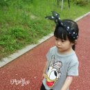 버블헤어 이미지