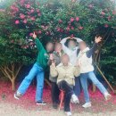 지인펜션 | 제주 숙소 추천 머뭄펜션 후기｜동백꽃 뷰 감성 숙소, 20년 지인들과 힐링 여행