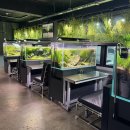 워터힐링 | [대전이색 카페] 테이블이 곧 아쿠아리움! &#39;물멍&#39;으로 힐링하는 &#39;비워터&#39; (B.Water) 방문 후기