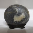 복슬강아지 이미지