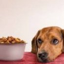 잘봄경희한의원 이미지