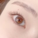단아한속눈썹