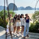 솟발농장 | [하노이] 하롱베이투어 (광고X, 내돈내산 마이리얼트립 예매)