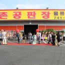 양촌공판장 Daum카페