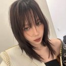 리오헤어 이미지