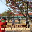 골프 입문 교실 | 부산진구파크골프입문방법, 완전 초보라면 이렇게 시작하셔야 합니다