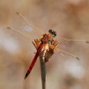 강촌에살고싶네 이미지