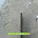 미성생삼겹살숯불돼지갈비