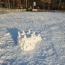 감산 | 감산470 눈썰매 다녀온 후기 ❄️ 아이랑 겨울 나들이 추천