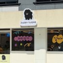 퍼피슈가 이미지