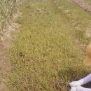 호국농장 이미지