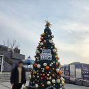 청도군-20 | 청도 군파크 루지 테마파크 방문기｜짜릿한 액티비티 제대로 즐겨본 후기