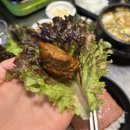 부산 서면 고기 맛집 고정점 서면본점 솔직후기