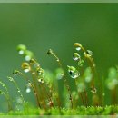 건강하소 이미지