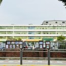 에코랑이