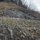 죽향컨트리클럽 이미지