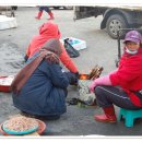 완도읍-12 이미지