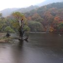 2015년10월24일 - 청송 주왕산(단풍기억 _ 초절정 단풍 가을이 깊숙이 스며들다.) 이미지