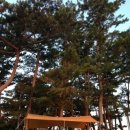 덕흥해수욕장2 이미지