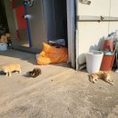 부여농부의집 이미지