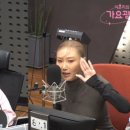 쿨노래광장 이미지