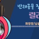 릴리펫 이미지
