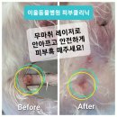 서래동물병원 이미지