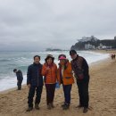 정동진역 이미지