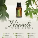 동탄대로10가길 이미지