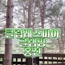 클럽247지점