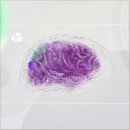 튜링수학학원 | 양자지능정보학과 입시, 전공, 진로, 취업, 직업, 자격증 정보 총정리