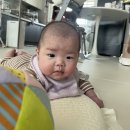 영아다중 말하기 단품 당근 가격 총 140만원 득템 후기 (+ 꼬메모아 전면책장 공구가, 꽁떼떼 포레 교구장)
