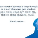 오늘의 '영어 명언'(314강) 알베르트 슈바이처(Albert Schweitzer) 이미지