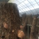 윤승호농장 이미지