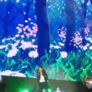 적우님 노래에 함께 즐기는 은하수 팬들 이미지