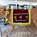 우량한우 이미지