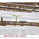 손자농장 이미지